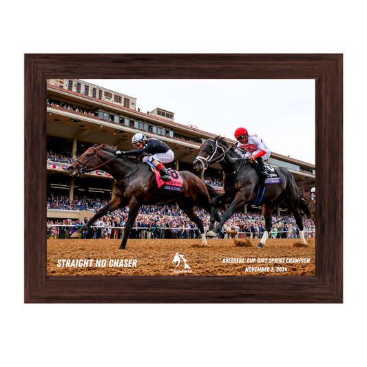 Straight No Chaser Breeders' Cup Dirt Sprint Champion - Action Shot #1