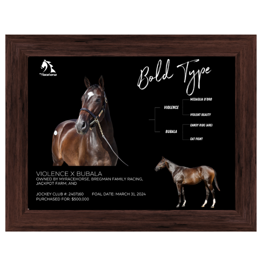 Bold Type Owner Photo