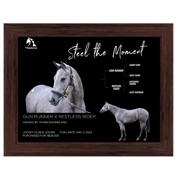 Steel the Moment Owner Photo