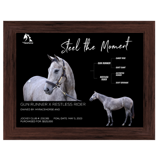 Steel the Moment Owner Photo