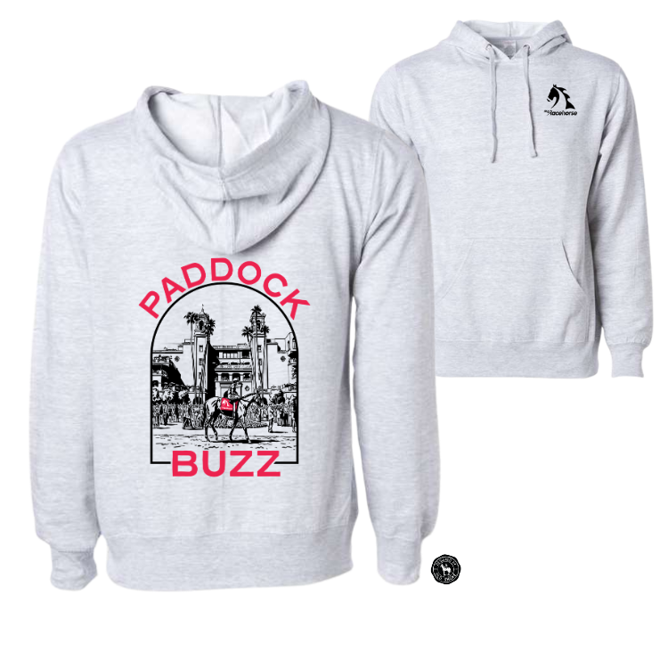 Paddock Buzz Unisex Hooded Sweatshirt