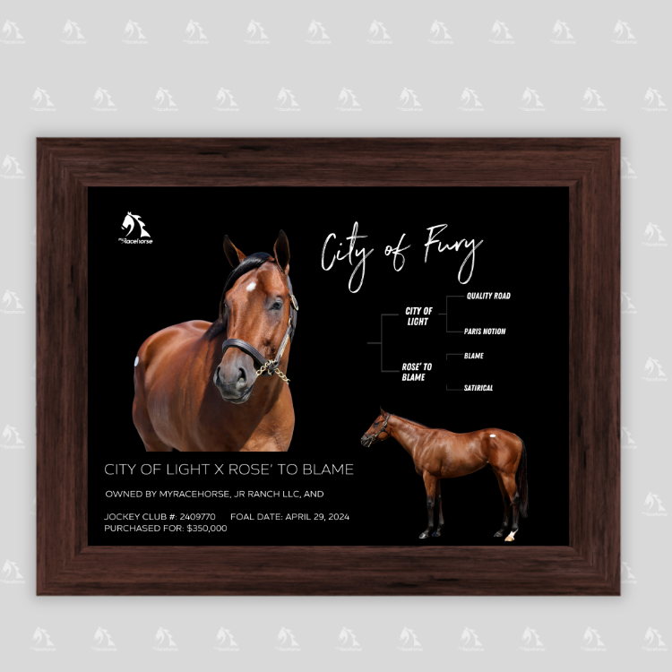 City of Fury Owner Photo