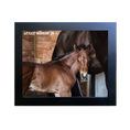 Load image into Gallery viewer, Vekoma X Littlest Warrior 26' Candid Photo
