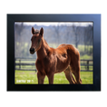 Load image into Gallery viewer, Seize the Grey X Sintra 26' Candid Photo
