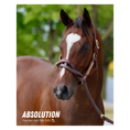 Load image into Gallery viewer, Absolution Portrait Photo
