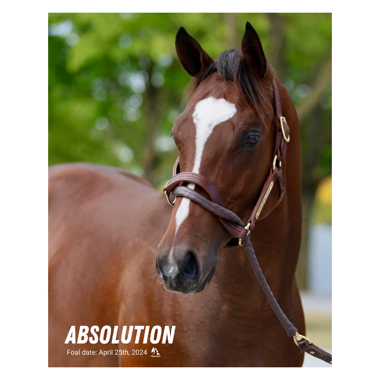 Absolution Portrait Photo