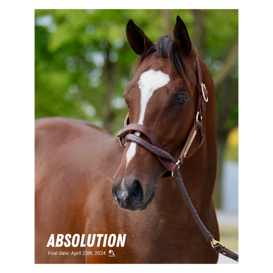 Absolution Portrait Photo