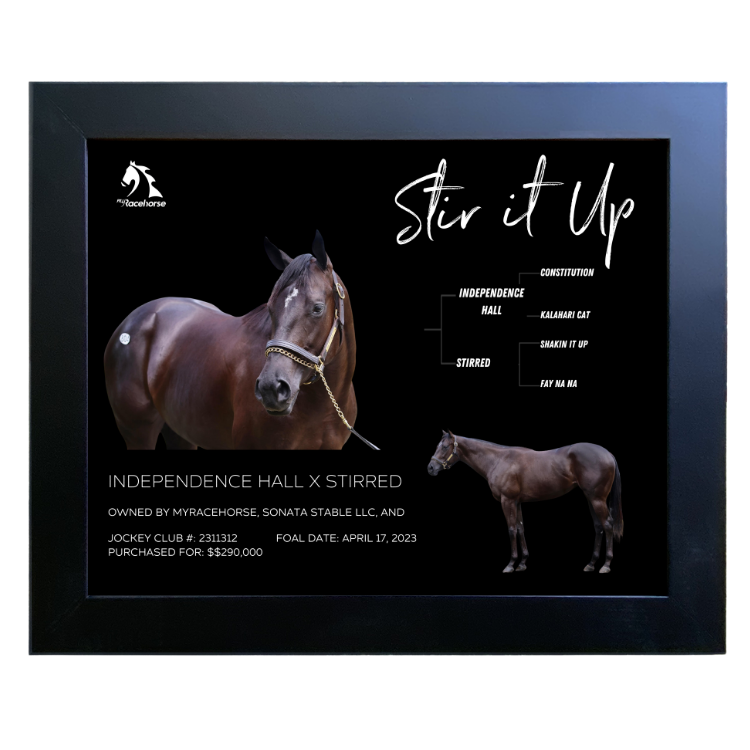 Stir it Up Owner Photo