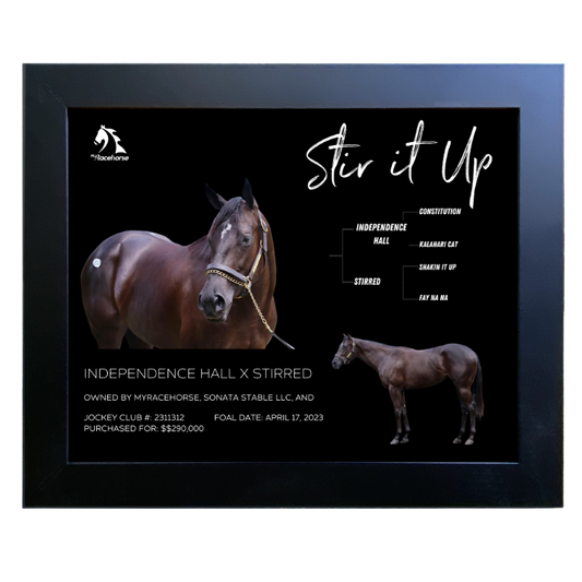 Stir it Up Owner Photo