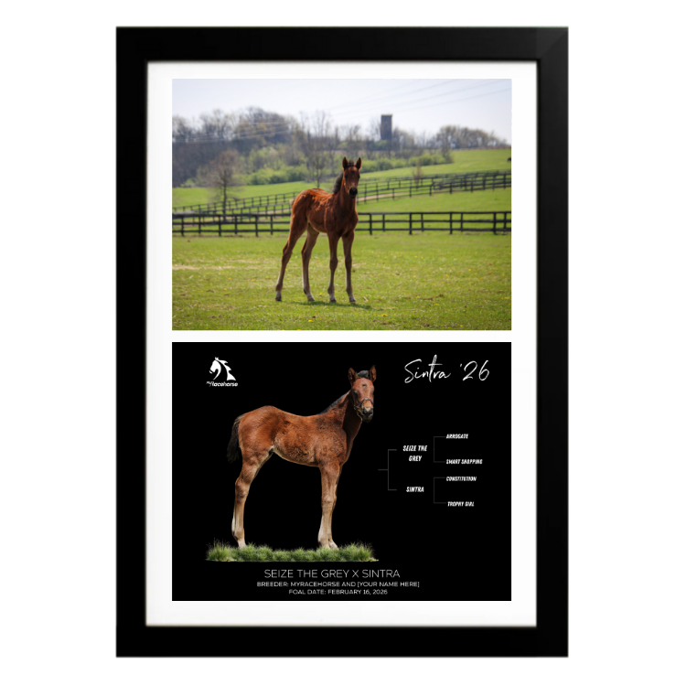 Seize the Grey X Sintra '26 - Collage Frame