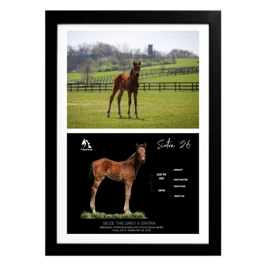 Seize the Grey X Sintra '26 - Collage Frame