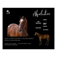 Load image into Gallery viewer, Absolution Owner Photo
