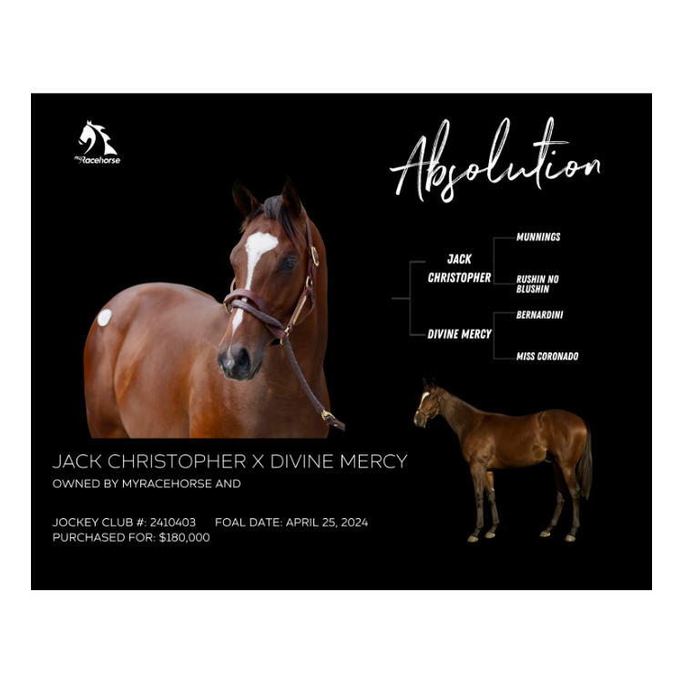 Absolution Owner Photo