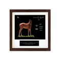 Load image into Gallery viewer, Seize the Grey X Community Adjusted '26 - Breeder's Photo
