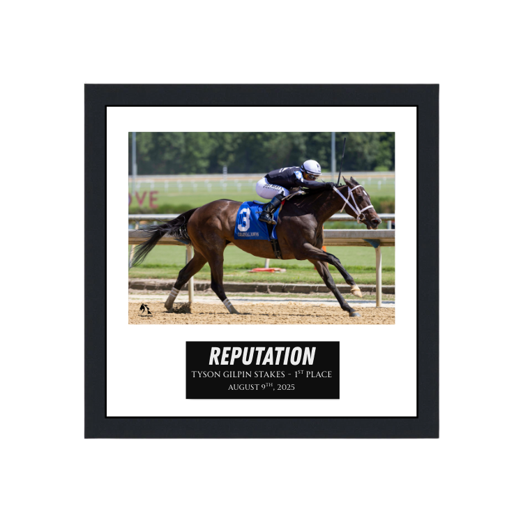 Reputation - Tyson Gilpin Stakes Photo Frame