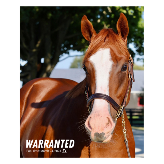 Warranted Portrait Photo