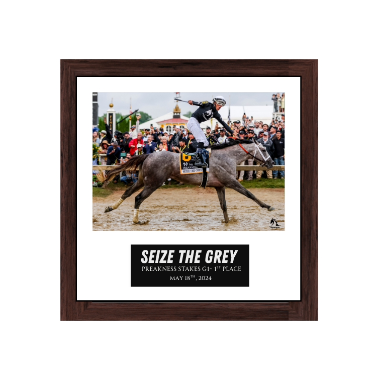 Seize the Grey - Preakness Stakes Photo Frame