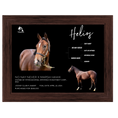Load image into Gallery viewer, Helios Owner Photo
