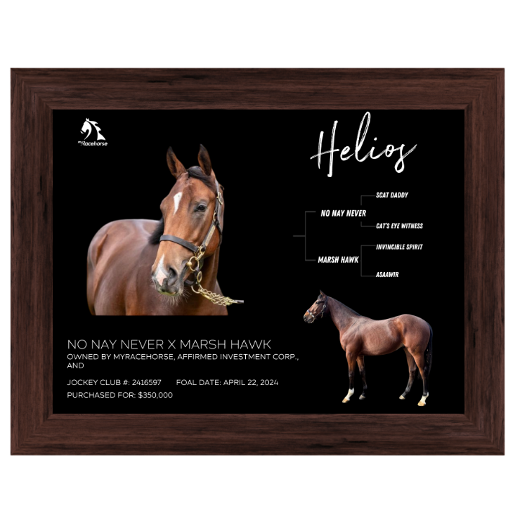 Helios Owner Photo