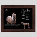 Load image into Gallery viewer, Pyralis Owner Photo

