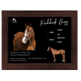 Load image into Gallery viewer, Paddock Buzz Owner Photo
