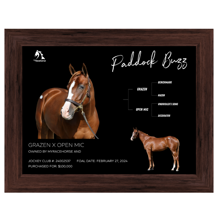Paddock Buzz Owner Photo