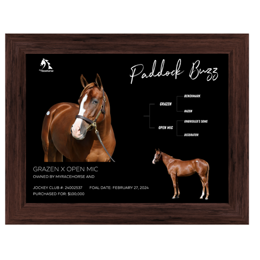 Paddock Buzz Owner Photo