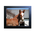 Load image into Gallery viewer, Prince of Monaco X Lazara 26' Candid Photo
