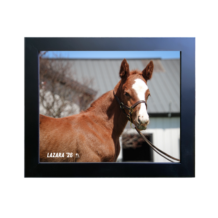 Prince of Monaco X Lazara 26' Candid Photo