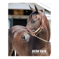 Load image into Gallery viewer, Bern Rate Portrait Photo
