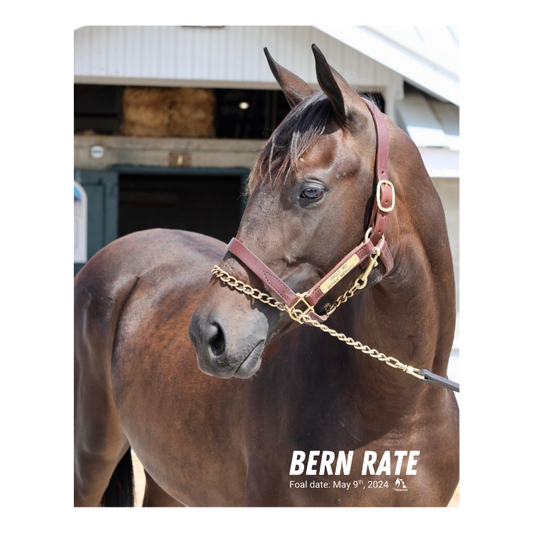 Bern Rate Portrait Photo