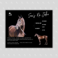 Load image into Gallery viewer, Sea's No Joke Owner Photo
