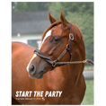 Load image into Gallery viewer, Start the Party Portrait Photo
