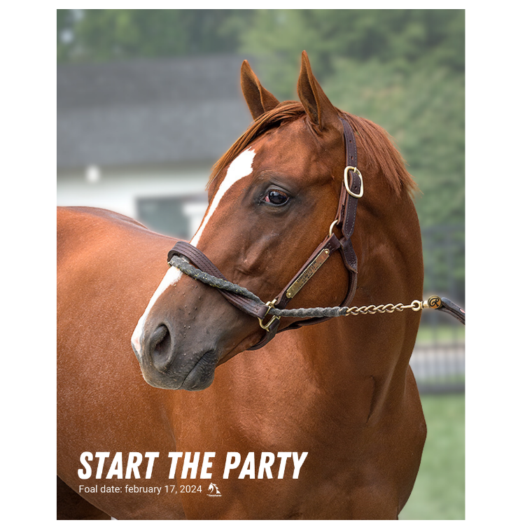 Start the Party Portrait Photo