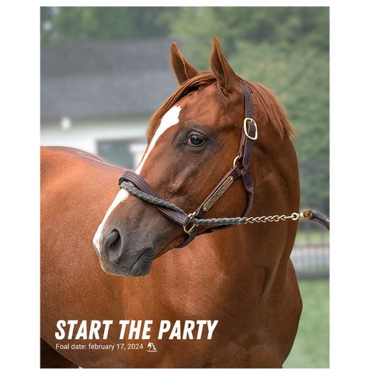 Start the Party Portrait Photo