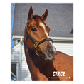 Load image into Gallery viewer, Circe Portrait Photo
