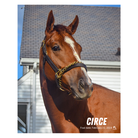 Circe Portrait Photo
