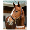 Load image into Gallery viewer, Woodburn Portrait Photo
