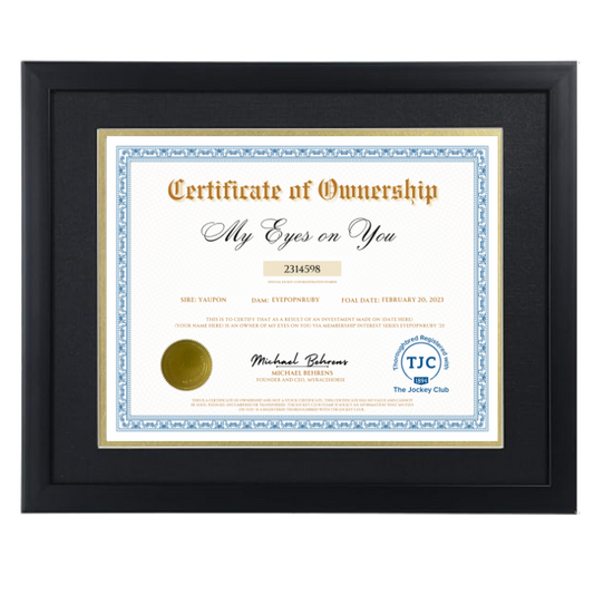 My Eyes On You Certificate of Ownership