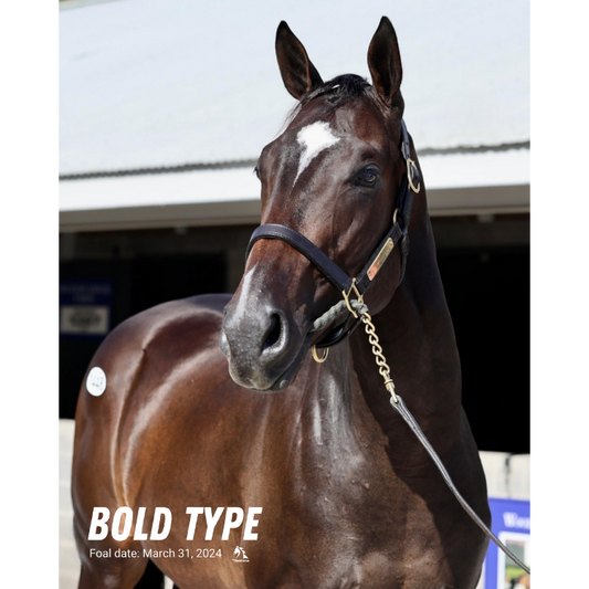 Bold Type Portrait Photo