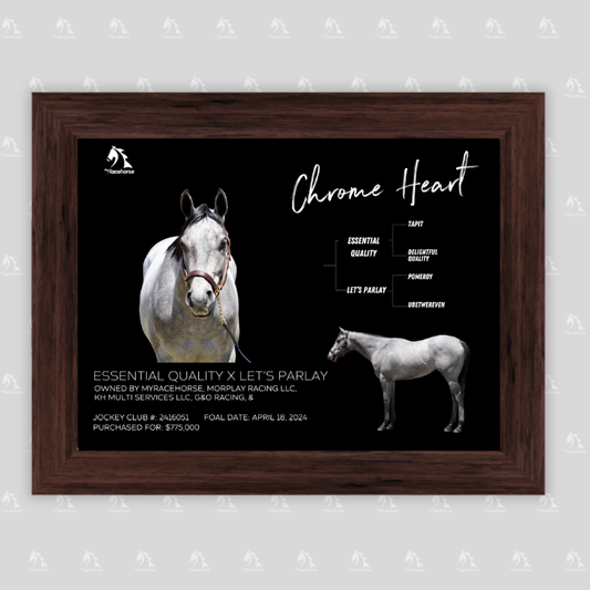 Chrome Heart Owner Photo