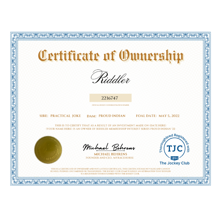 Riddler Certificate of Ownership