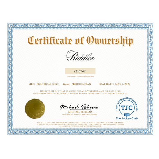 Riddler Certificate of Ownership