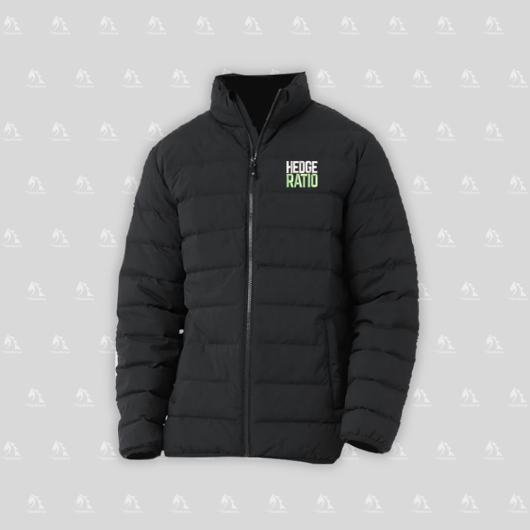 Hedge Ratio Men's Down Jacket