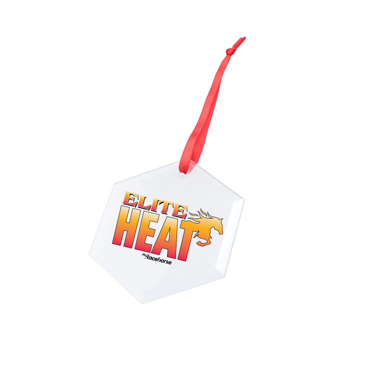 Elite Heat Hexagonal Glass Ornament