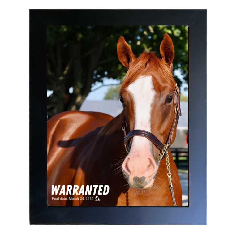 Warranted Portrait Photo