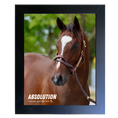 Load image into Gallery viewer, Absolution Portrait Photo
