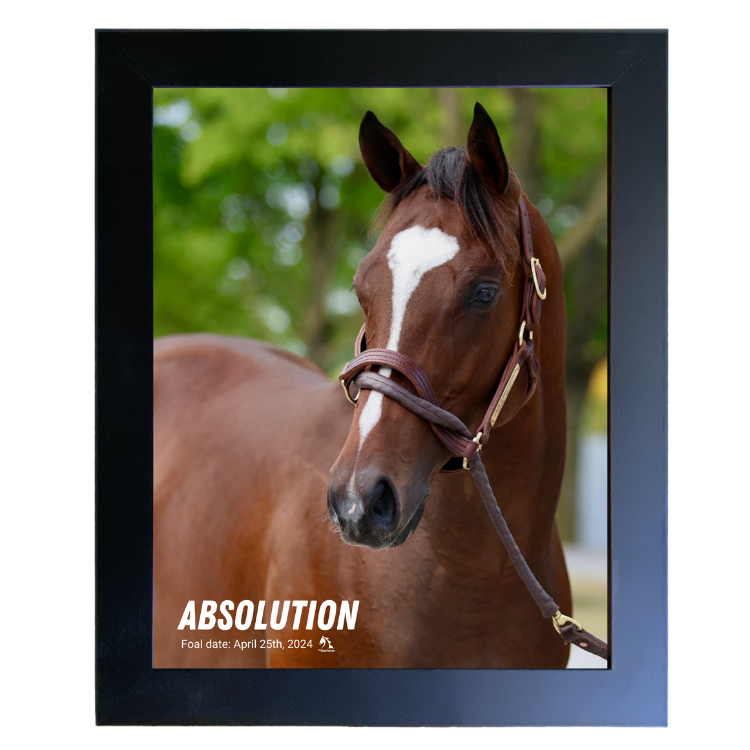Absolution Portrait Photo