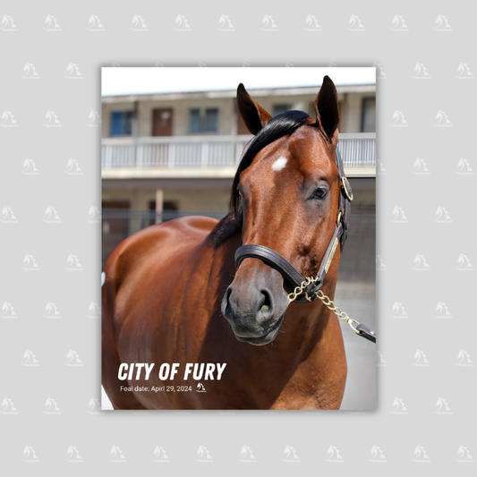 City of Fury Portrait Photo