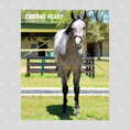 Load image into Gallery viewer, Chrome Heart Portrait Photo
